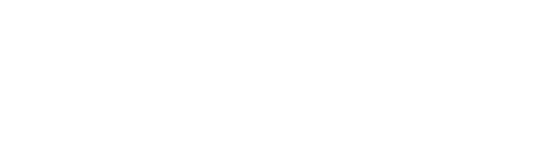 CyberFish Logo